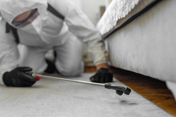 Professional Termite Control technician working in Bayonne, NJ