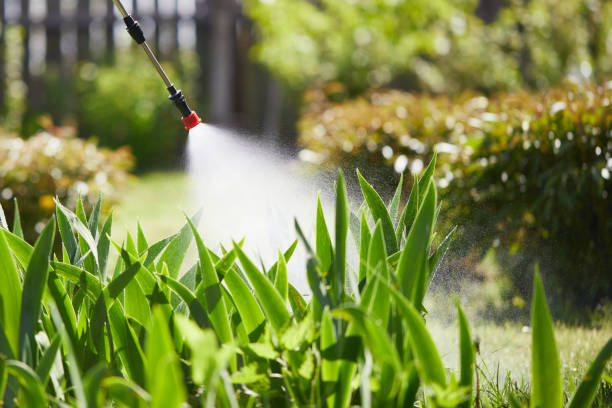 24/7 Emergency Termite Control experts in Bayonne, NJ