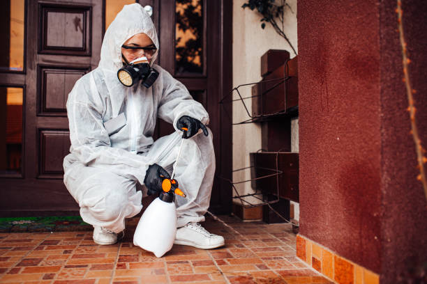 Reliable Termite Control contractor in Bayonne, NJ by Nex Pest Control