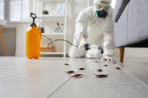 Trusted Bed Bug Control service in Bayonne, NJ - Nex Pest Control