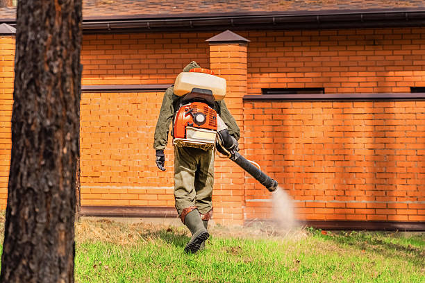 Trusted Cockroach Control service in Bayonne, NJ - Nex Pest Control